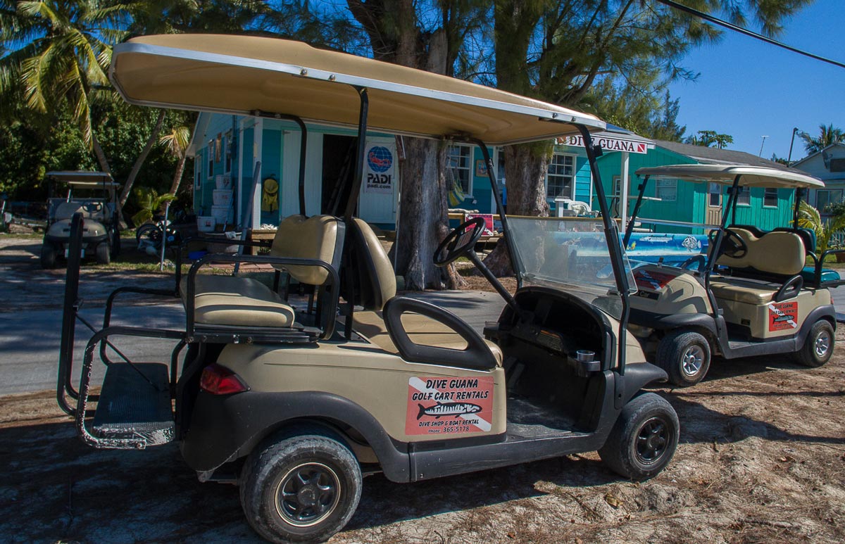 Golf cart